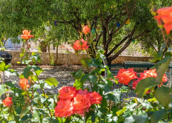 Lacitrus & Otel Kaş